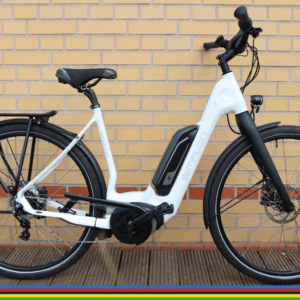 SIMPLON Chenoa UNI 8L