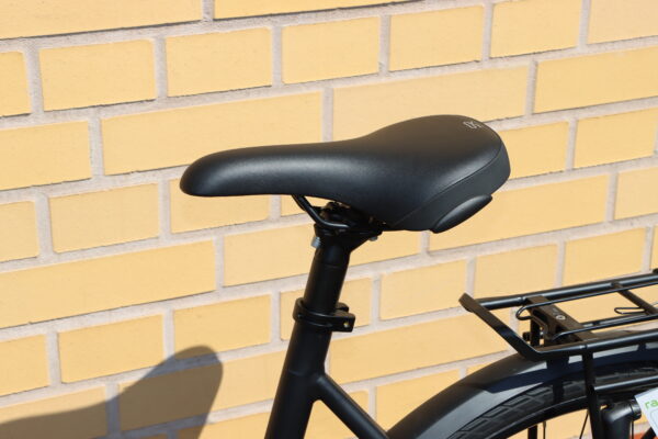 RABENEICK TC-E Carry E-Bike – Bild 7
