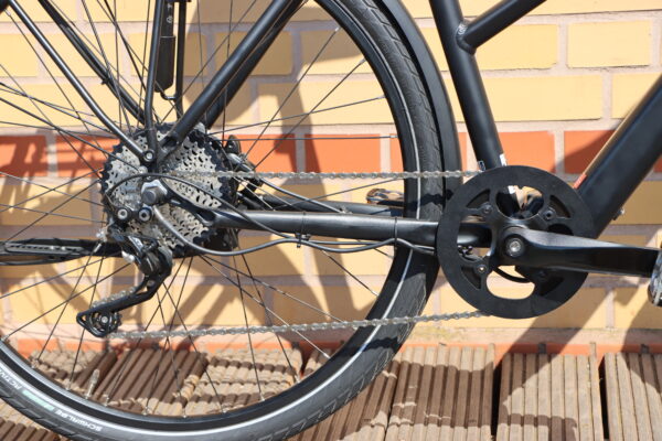 RABENEICK TC-E Carry E-Bike – Bild 6