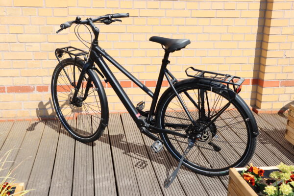 RABENEICK TC-E Carry E-Bike – Bild 5