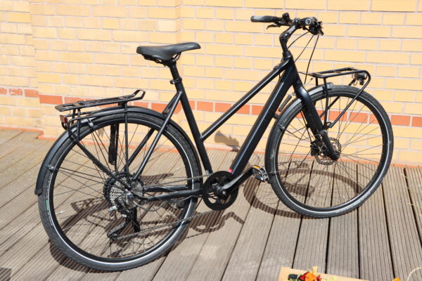 RABENEICK TC-E Carry E-Bike – Bild 4